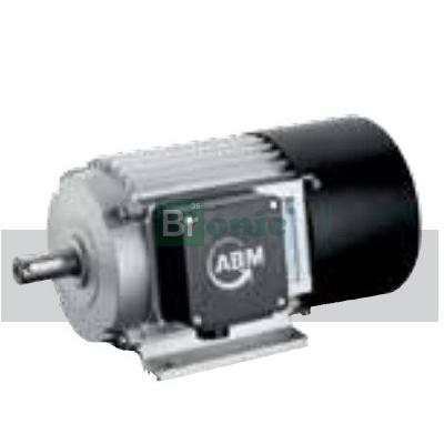 ABM Greiffenberger Induction Motor 112 | Индукционный двигатель