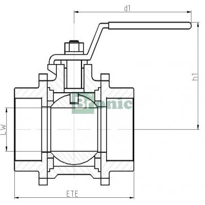 Noval DN 8 - 100 / PN 40 - 63 | BV63-CS Шаровой кран из литейной стали