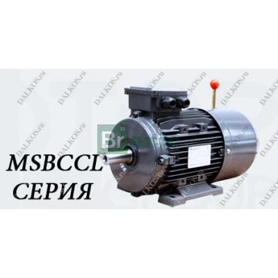 Simotop MSBCCL (2 полюсный)