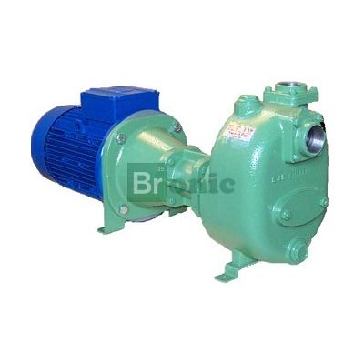 Victor Pumps S150G31BB/T+F | Центробежный насос