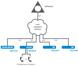 Рис.1. Схема абонентского VoIP-шлюза Eltex TAU-16.IP (16 FXS)